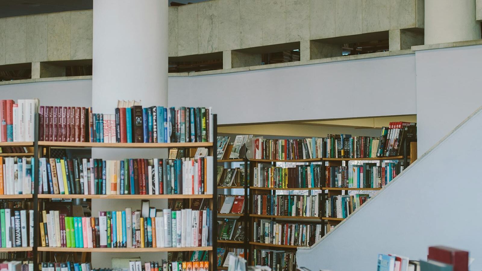 Fei-Fei Li: From Princeton Researcher to ImageNet, AI4ALL, and World Labs