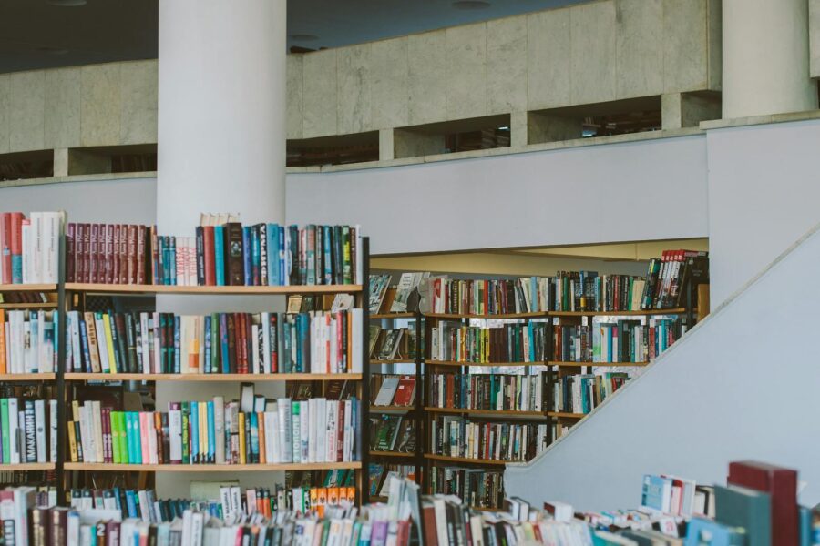 Fei-Fei Li: From Princeton Researcher to ImageNet, AI4ALL, and World Labs