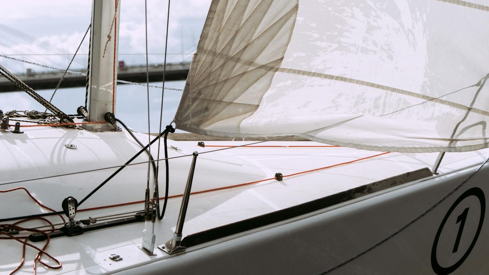 The Wally Effect: How One Studio Reshaped Modern Yacht Design